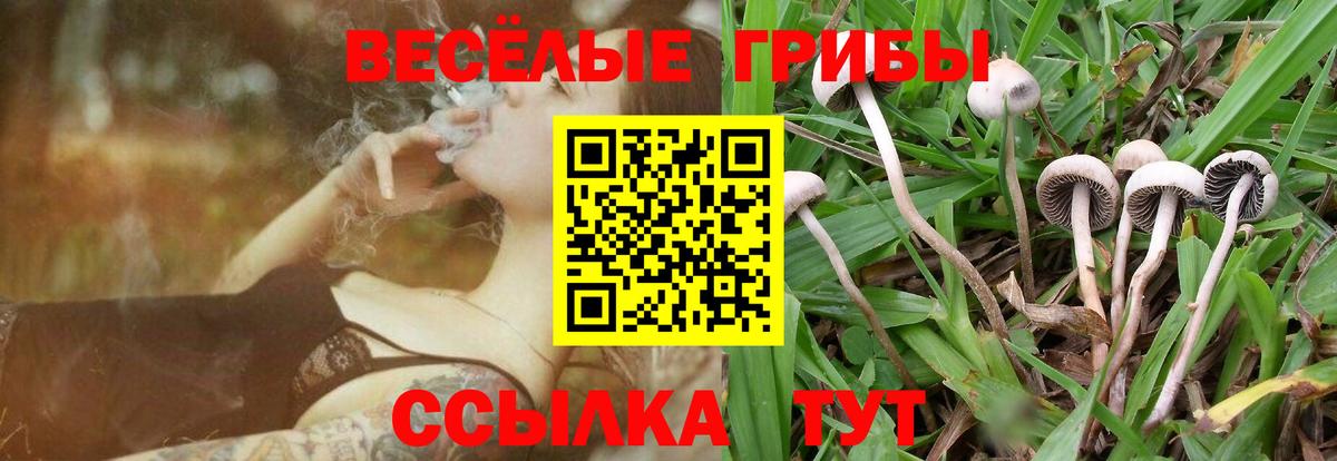 Махачкала  Галлюциногенные грибы ЛСД  Псилоцибиновые грибы мицелий  Вход с VPN 