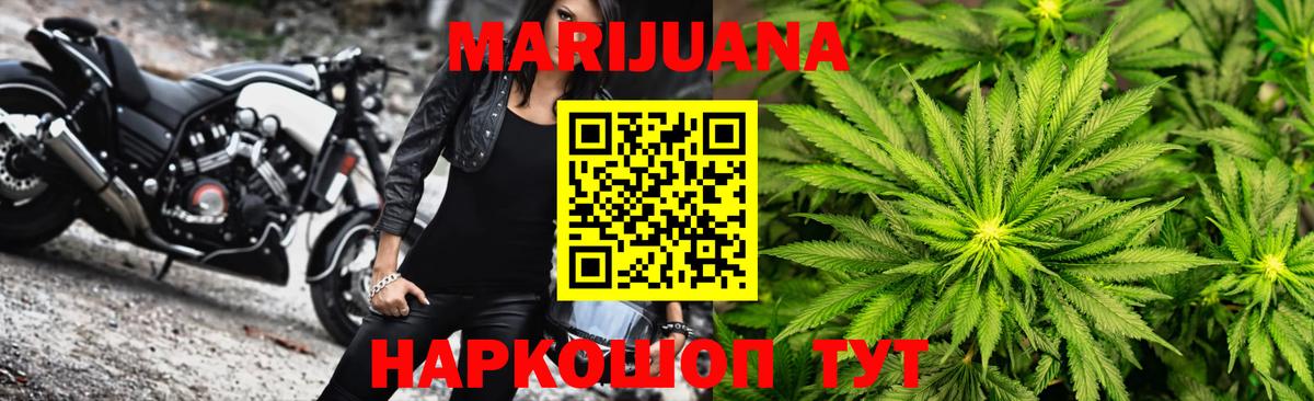 Махачкала  Каннабис сатива  Шишки марихуана план  Вход с VPN  Каннабис план 